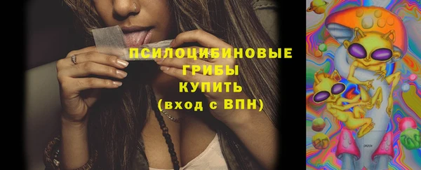 дурь Дмитровск